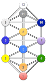 Lotus Of Life | Divine Tools Lotus Of Life | Divine Tools