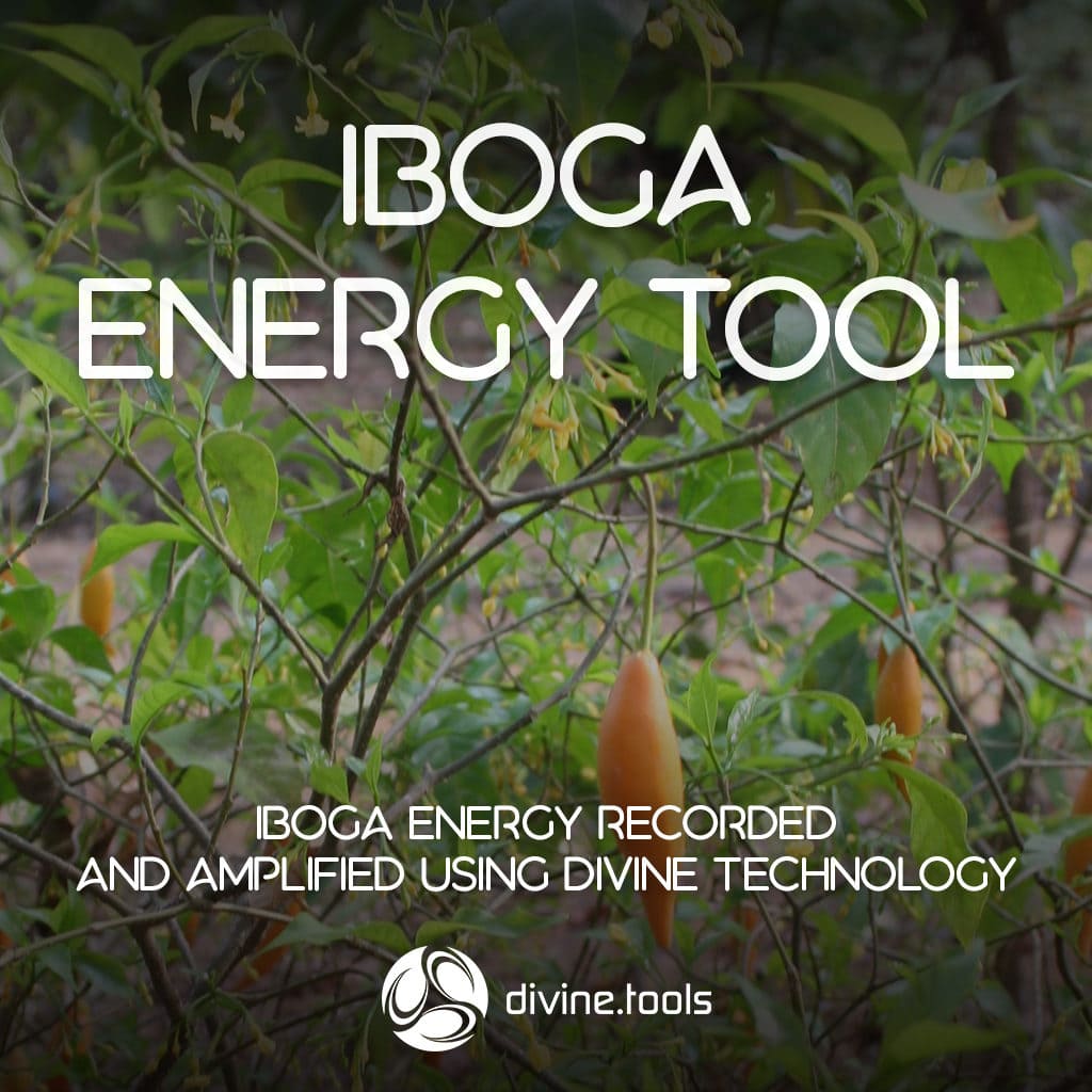 Iboga Energy Tool