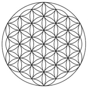 Lotus Of Life | Divine Tools Lotus Of Life | Divine Tools