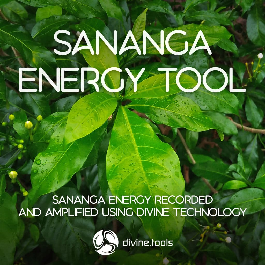 Sananga Energy Tool